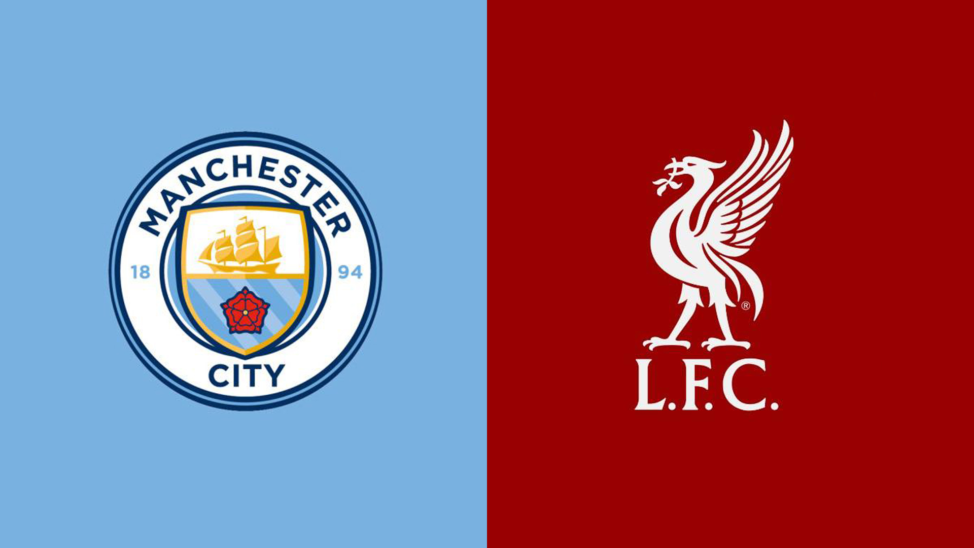 他们展现了 他们展现了